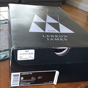 LeBron XIII